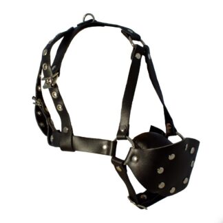 Leder-Sackknebel-Harness