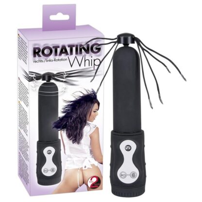 Rotating Whip with Rotation